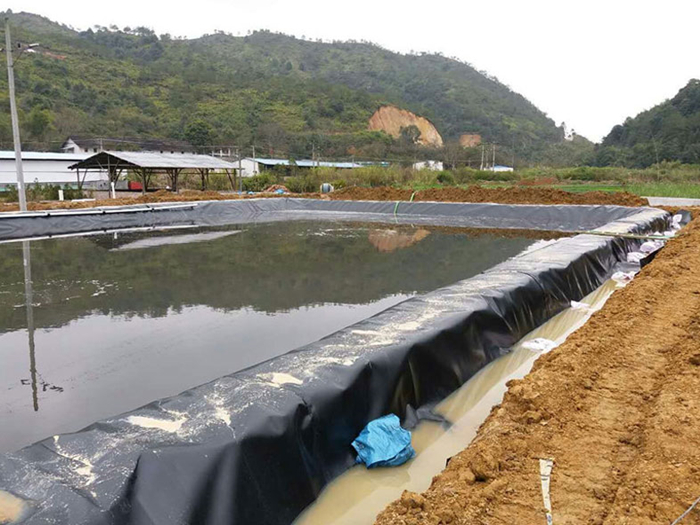 魚(yú)塘里用土工膜做防滲層需不需要回填土壤？